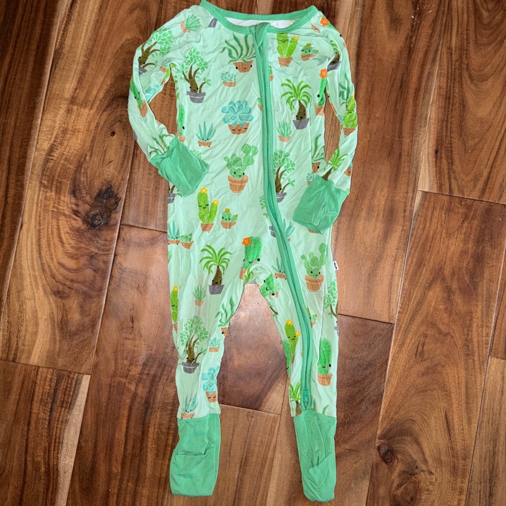 Little Sleepies Succulent Love Zippy 6/12